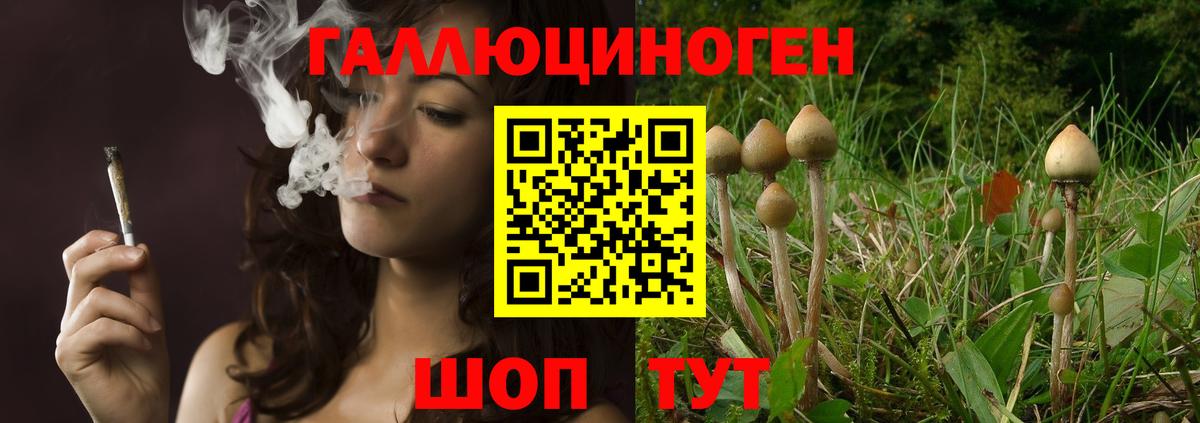 Псилоцибиновые грибы GOLDEN TEACHER Рузаевка